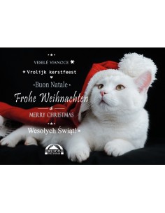 Weihnachtskarte Katze 10 St.