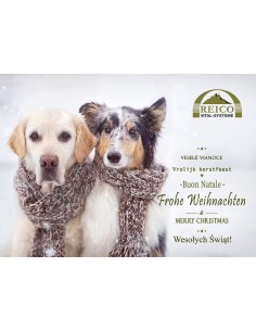 Weihnachtskarte Hund 10 St.